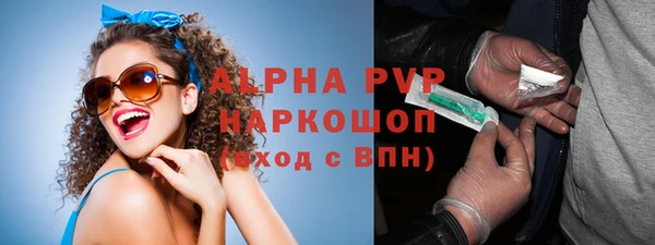 твердый Инта
