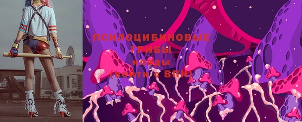дмт Беломорск