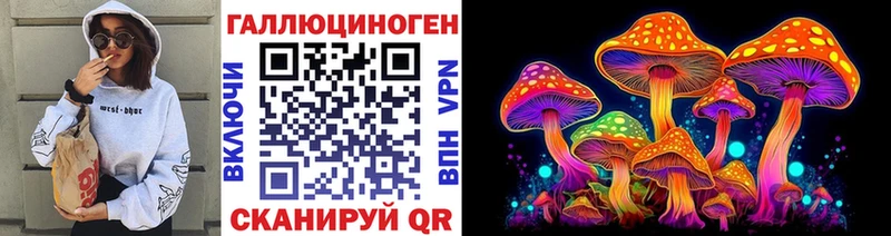 Псилоцибиновые грибы Psilocybe  наркота  mega зеркало  Ногинск 